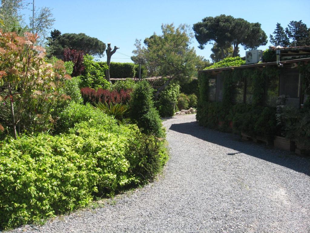Country Apartments Castel di Decima Exterior photo